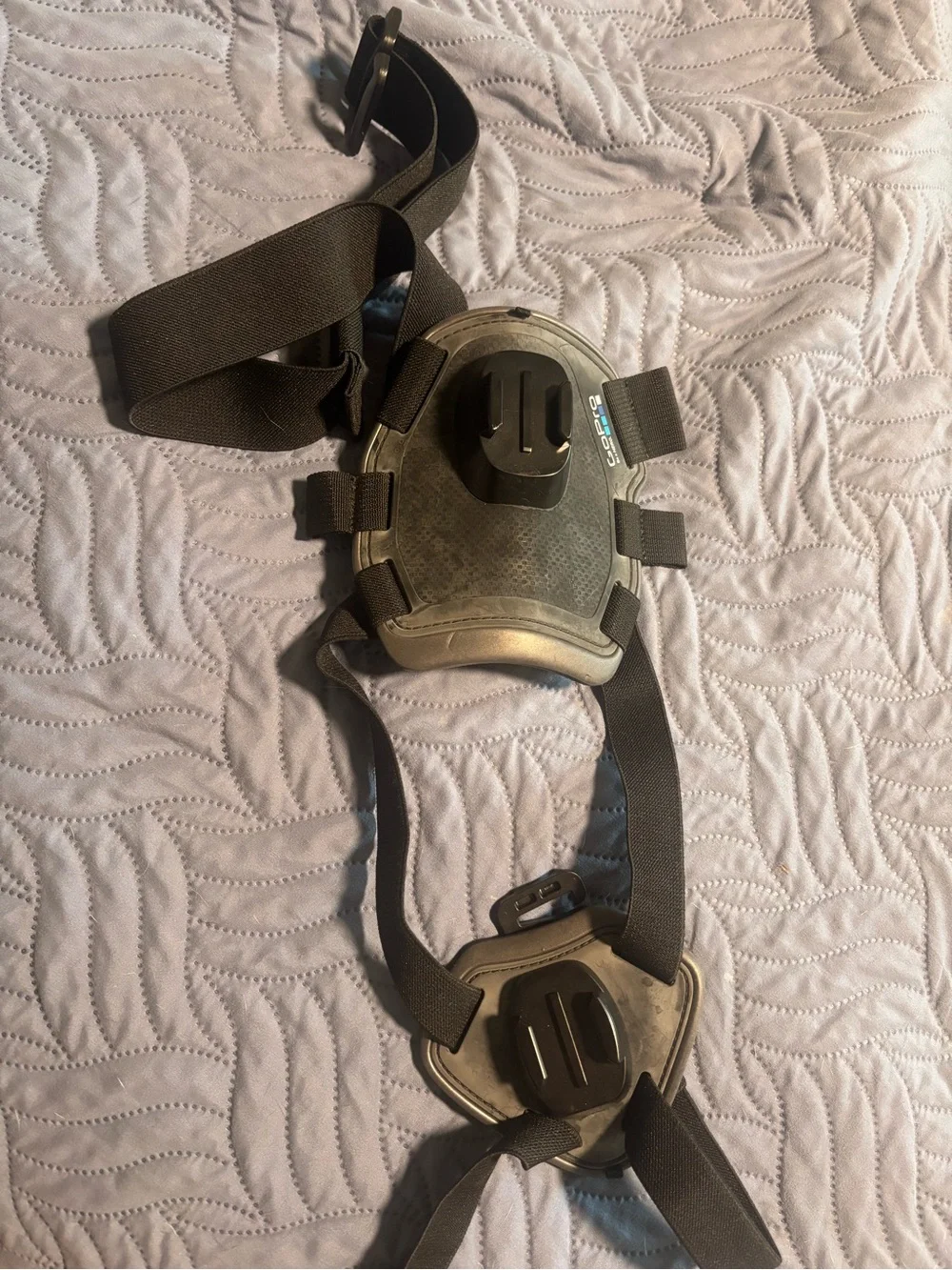 GoPro dog harness- adjustable